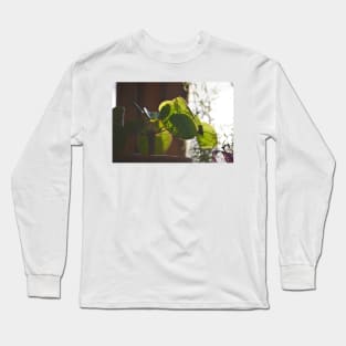 Plant Lover Pilea Plant Long Sleeve T-Shirt